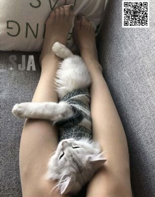 脱狱者在线观看