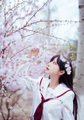 义者无敌全集免费观看完整版