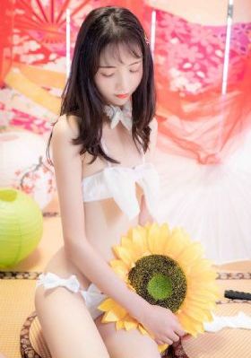 湖南卫视今晚节目表